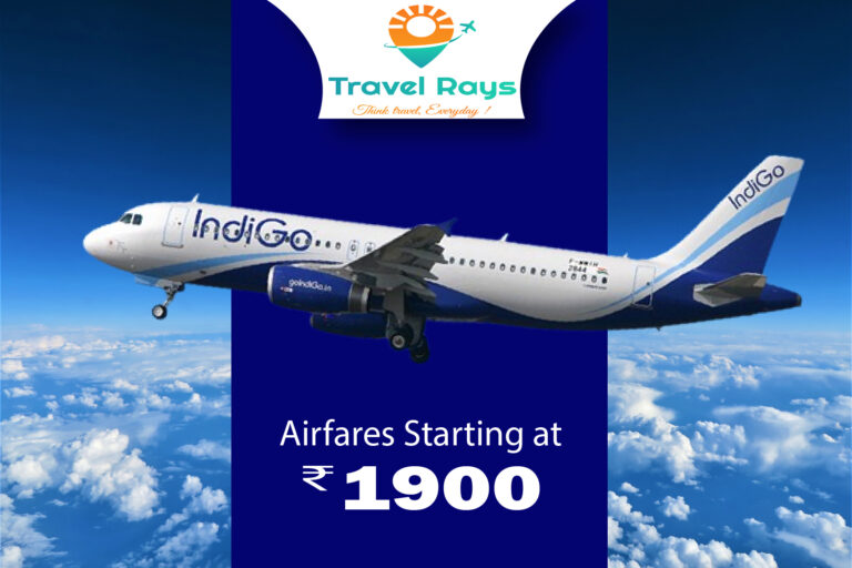 Indigo air adv for web